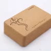 caramida-2